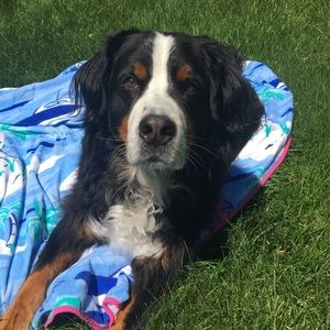 Meet your Posher, Livi